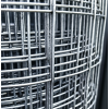Galvanized welded mesh 50.8x50.8x1.8-1.5x30m