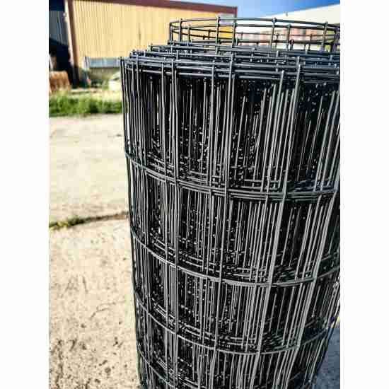 Galvanized mesh welded in PVC coating 100x50x2.1-1x30m