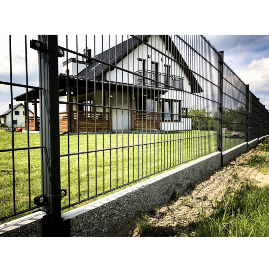 Zaunabschnitt H1,23 L2,5 200x55 6/5/6 Zn+PPL