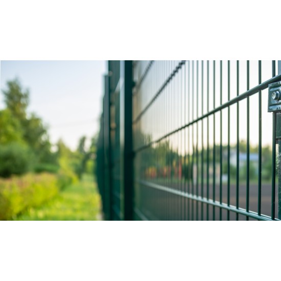 Zaunabschnitt H1,83 L2,5 200x55 6/5/6 Zn+PPL