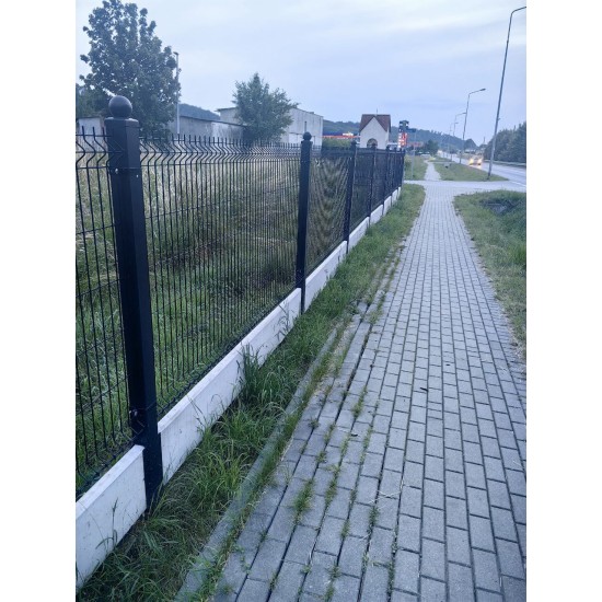 Zaunabschnitt Schwarz  H1,23 L2,5 200x55x3.8 Zn+PPL