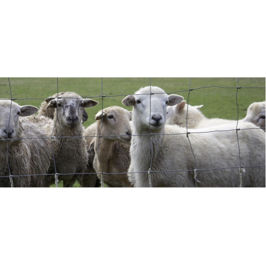 Galvanized forest mesh 1,6/2,0 1500/15/152,4 L=50